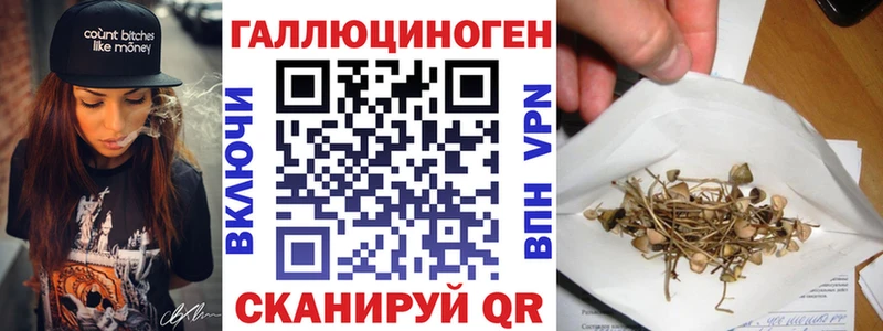 хочу наркоту  Хадыженск  Псилоцибиновые грибы Psilocybe 