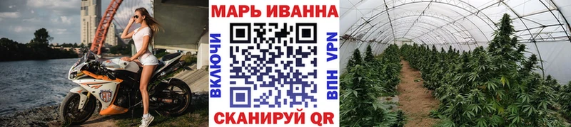 Бошки Шишки гибрид Хадыженск